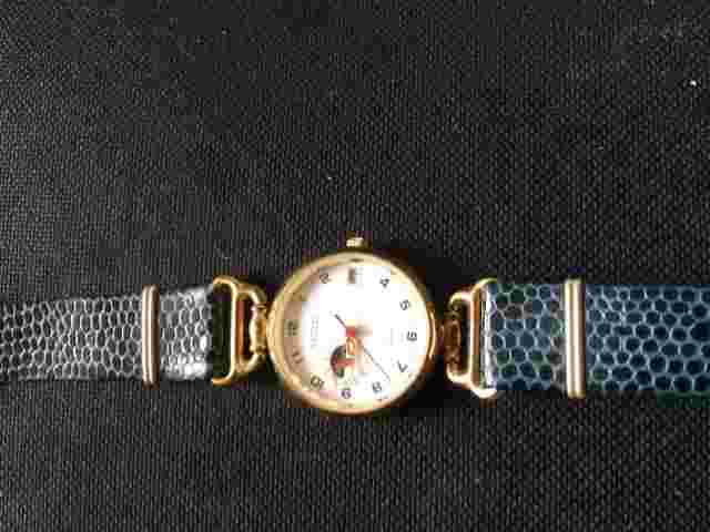 watch axcess chrono type uni-sex wrist reptile type band 8" parts or repair