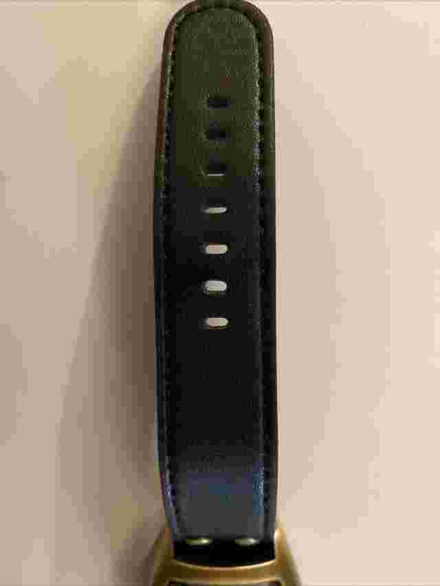 SHENHUA 9868 Automatic Mechanical Watch Leather Strap