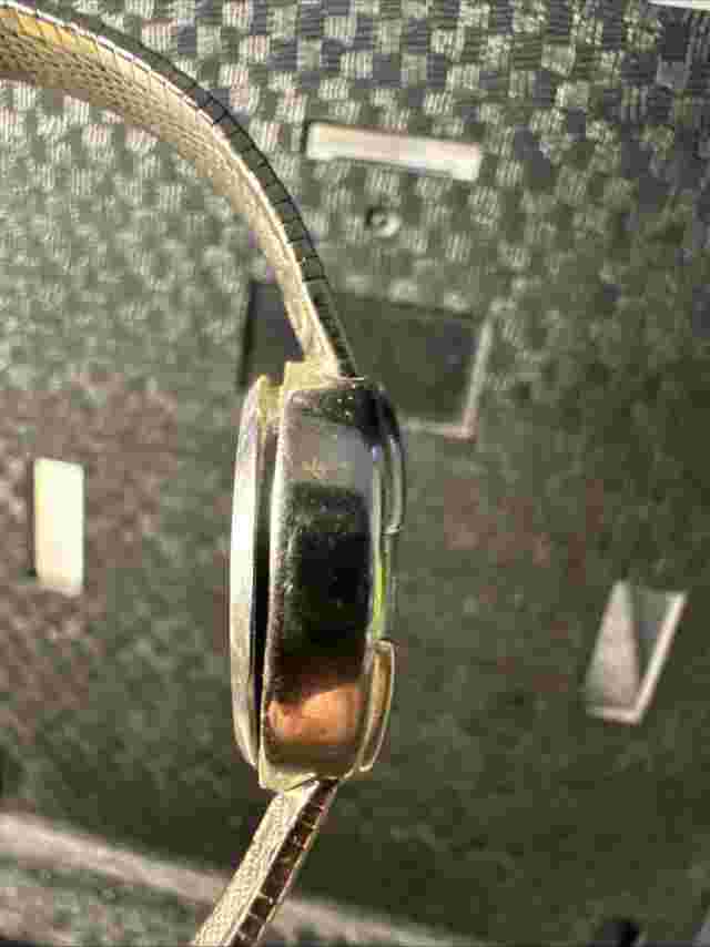 Sarah Coventry Stainless Steel Supreme Quartz Analog Womens Watch