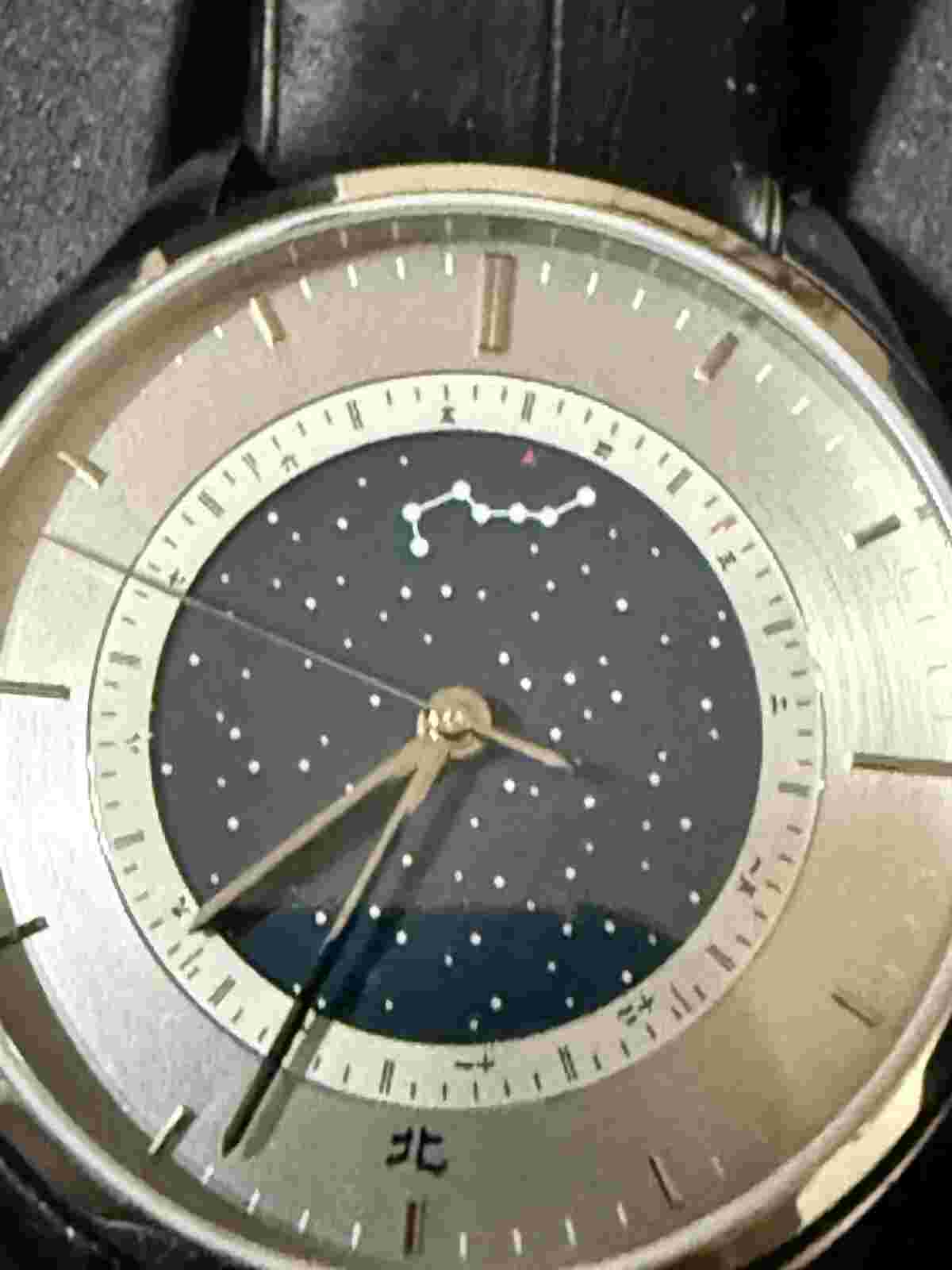 Seagull Starry Sky Month Indicator Automatic Watch