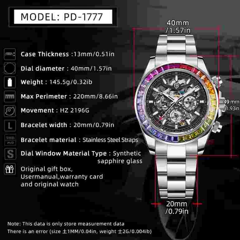 PAGANI DESIGN Luxury Watch For Men Stainless Steel Skeleton Automatic Mens Watch