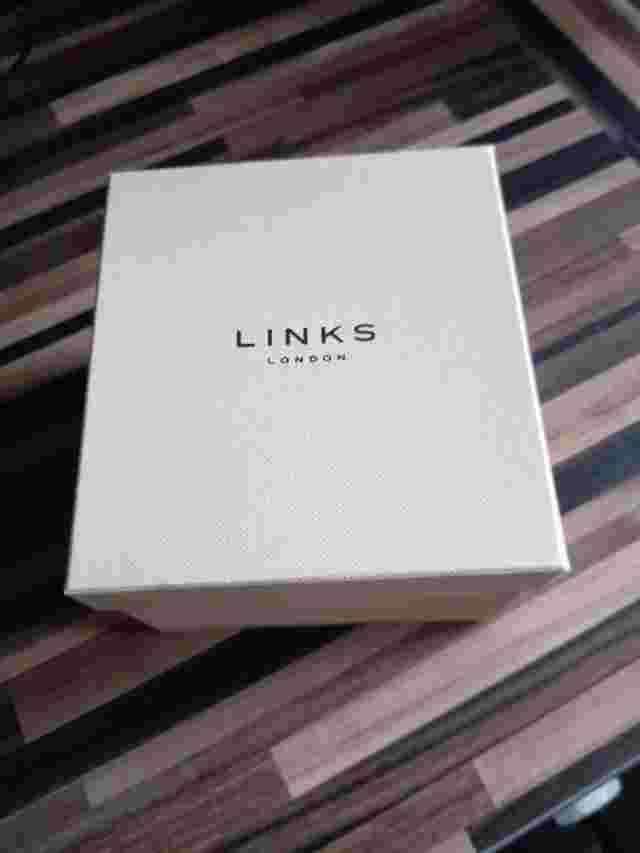 Links of London Ladies Stone Set Selene Bracelet Watch