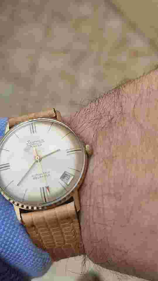 ISOMA Anker Automatic Vintage Watch Cal HB 313