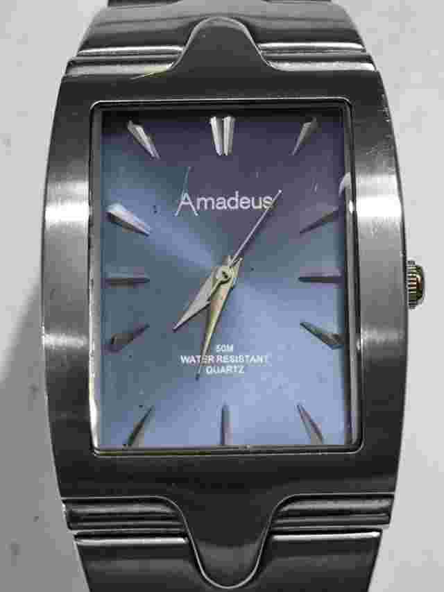 Amadeus Men's Quartz Watch Working