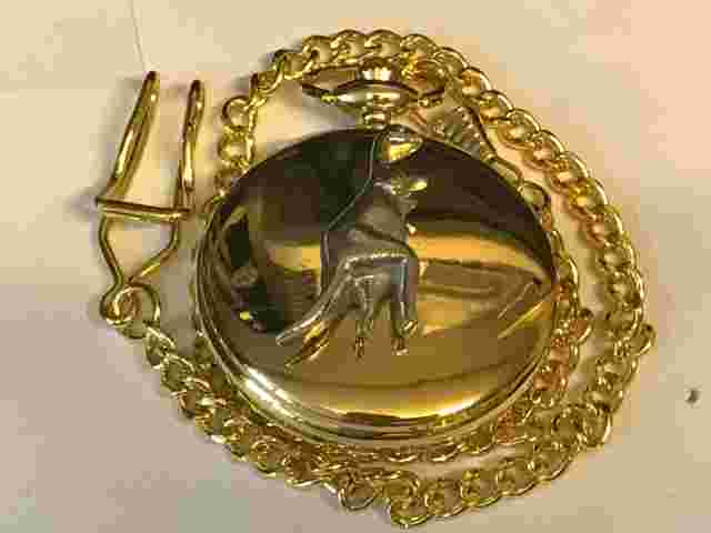 Diplodocus TG239 Pewter on a Gold Pocket Watch Quartz fob
