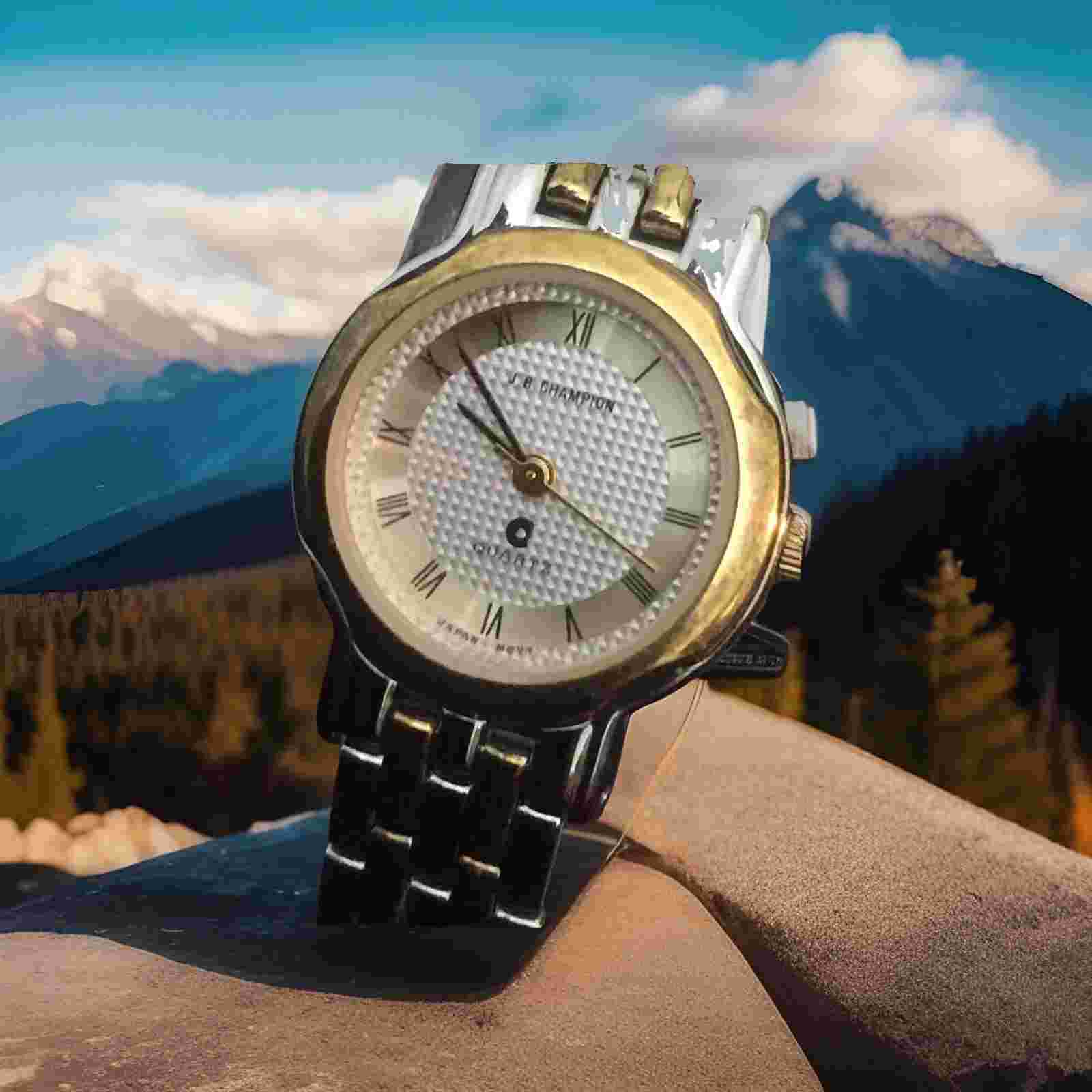 Jb Champion Ladies Watch Quartz,Two tone face black romans Number,Gold/Silver B
