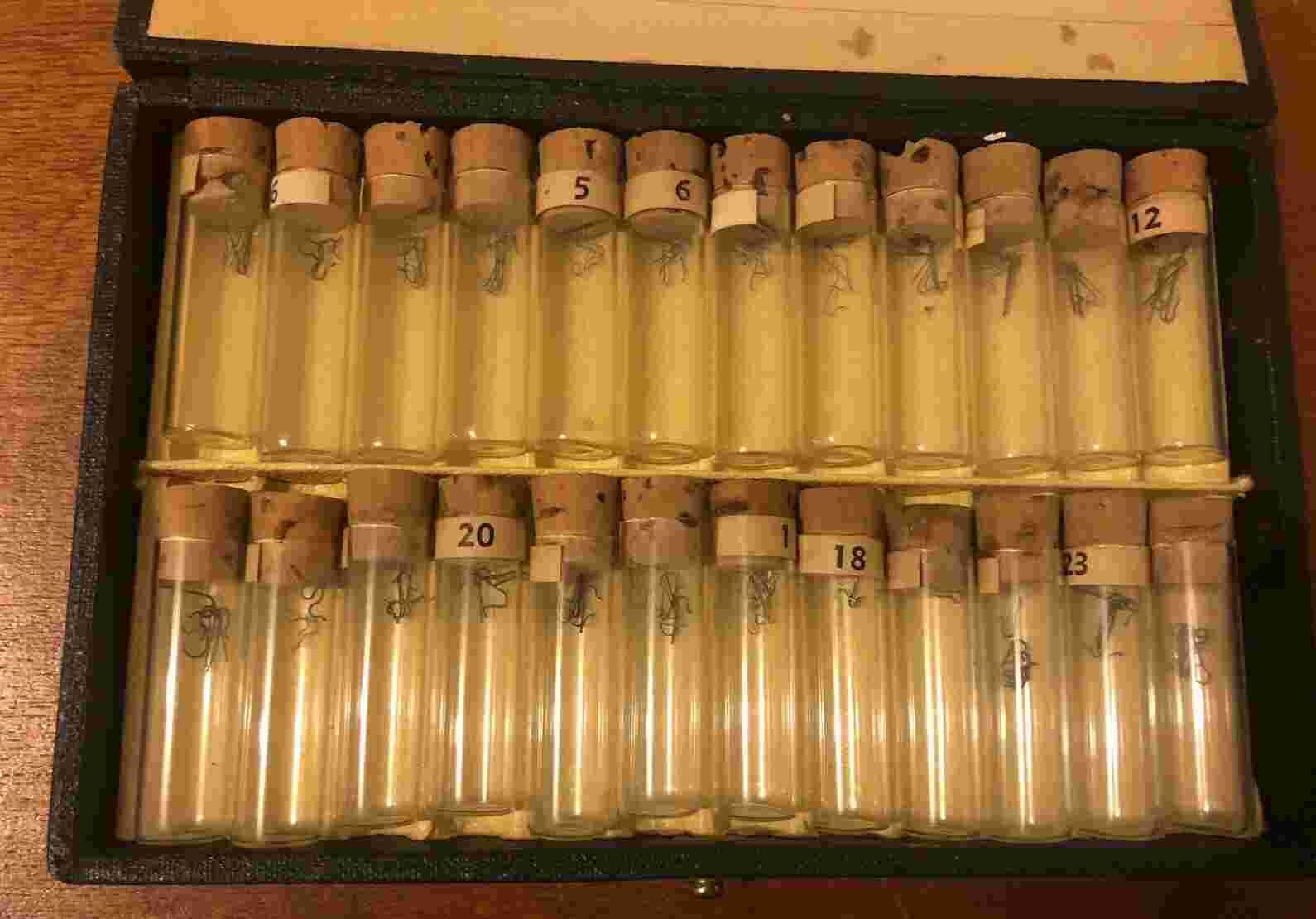 Burton M. Reid Sons Inc No. M330 Click and Setting Springs Watch Parts