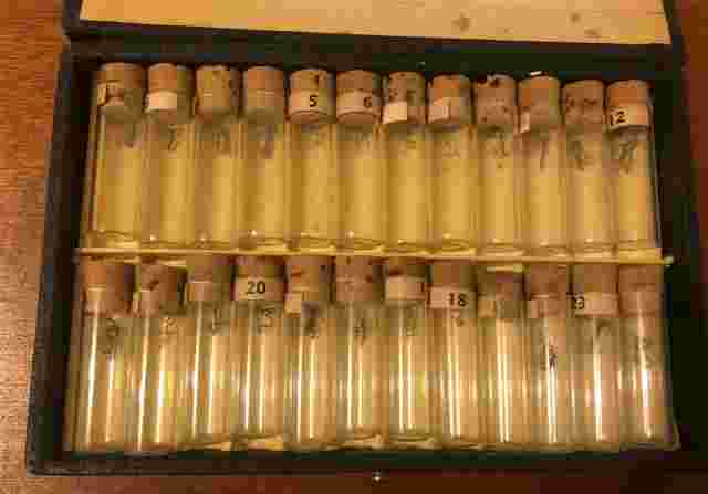 Burton M. Reid Sons Inc No. M330 Click and Setting Springs Watch Parts