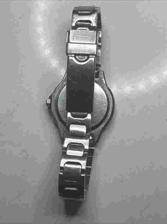 Bill Blass Dive Watch