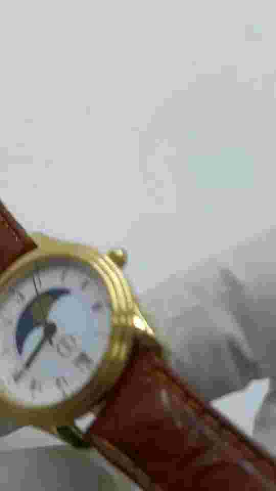 RONDA watch Lunar time during the year for women