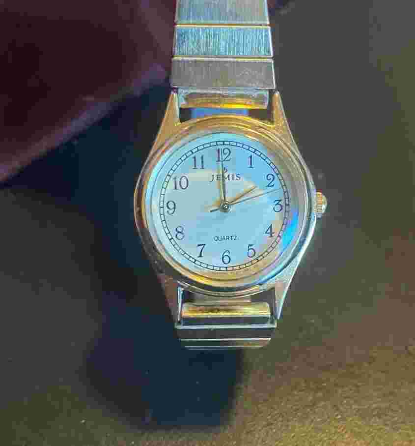 Women's 25mm Jemis Watch, Gold Tone with Expansion Band