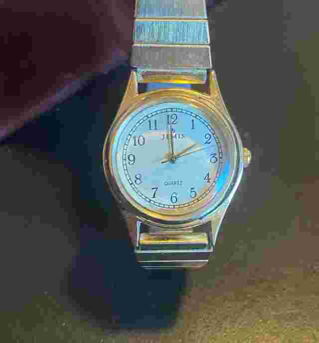 Women's 25mm Jemis Watch, Gold Tone with Expansion Band