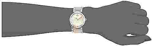 Vivienne Westwood Watch Poplar VV246CPSG Women Silver New Official in Box