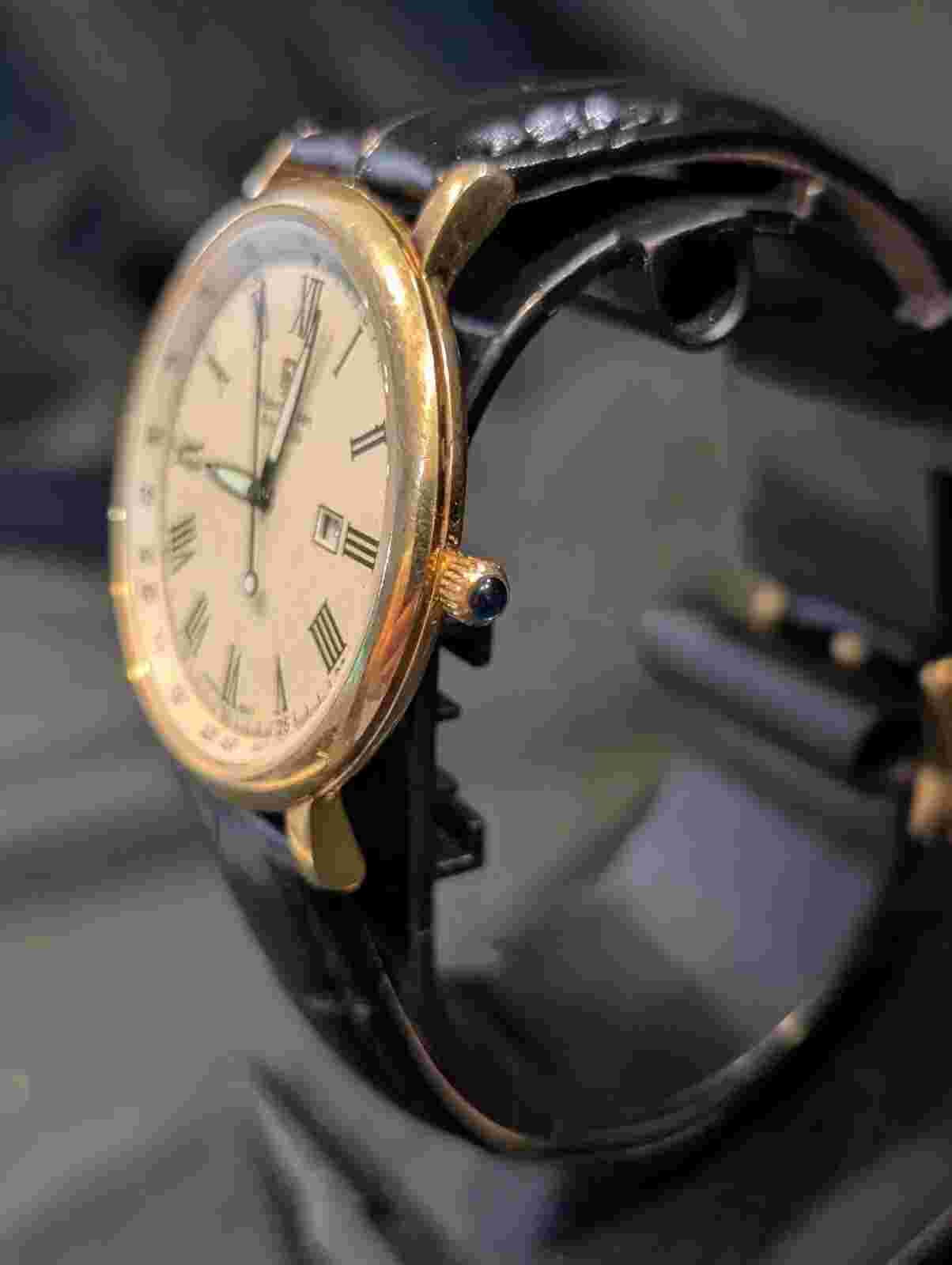 steinhausen mens watch