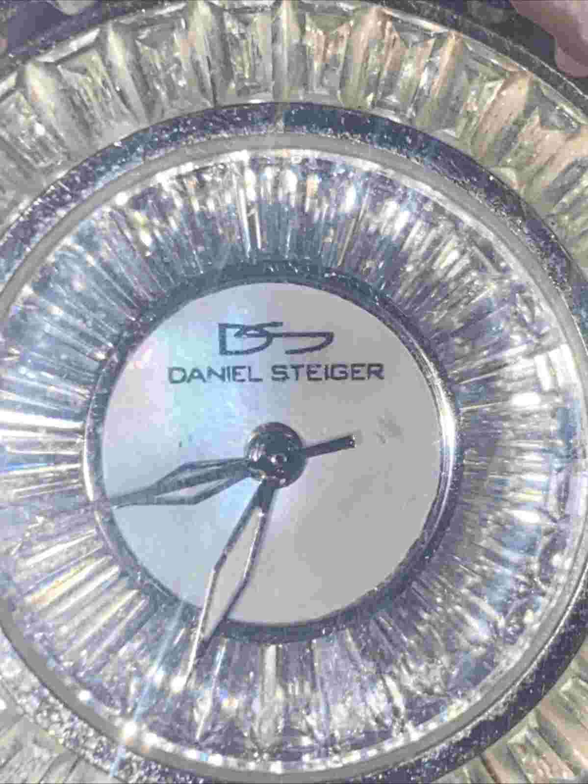Daniel Steiger Watch
