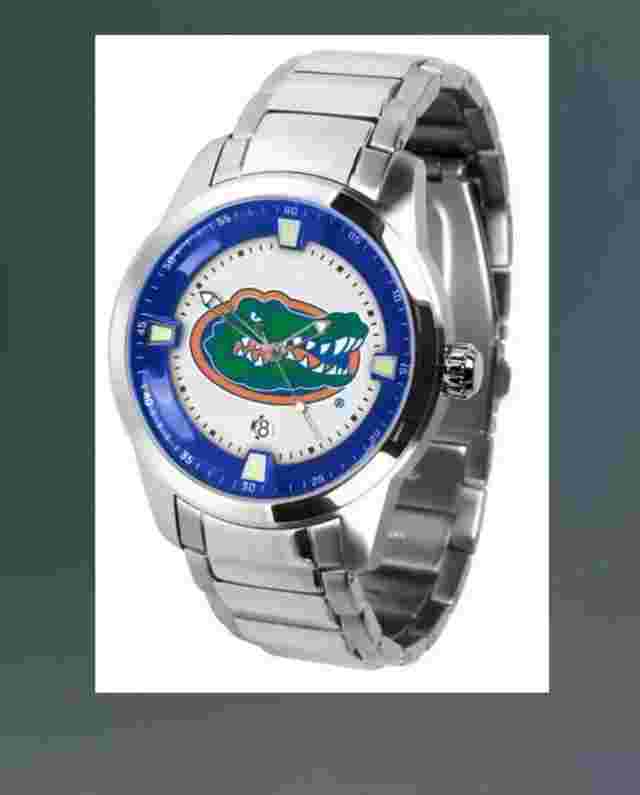 Titans Florida Gators  Stainless Steel Mens Watch
