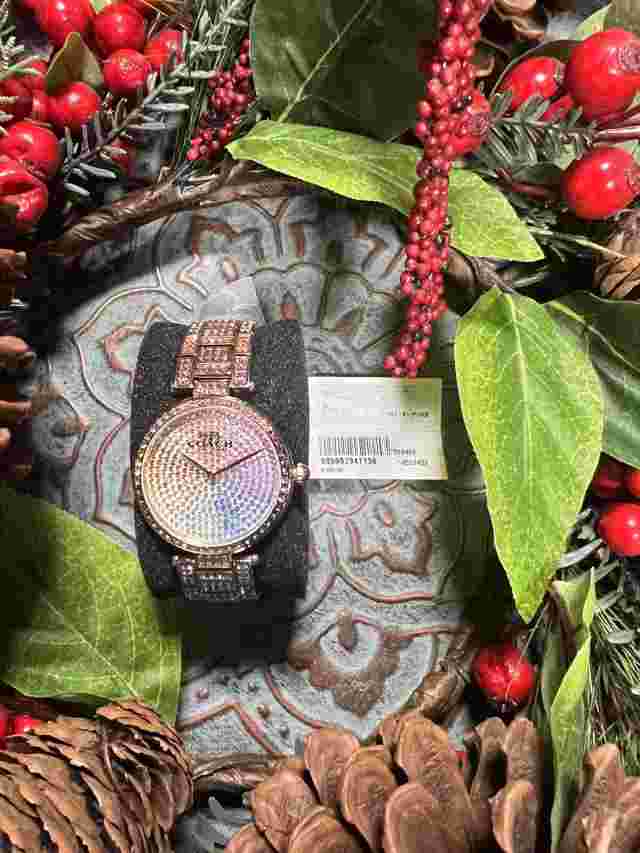 Coach Women’s Rainbow Coach Watch