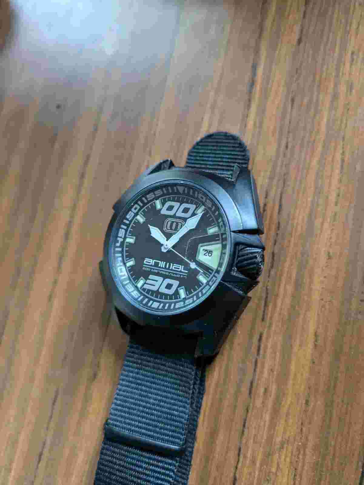 Animal Watch