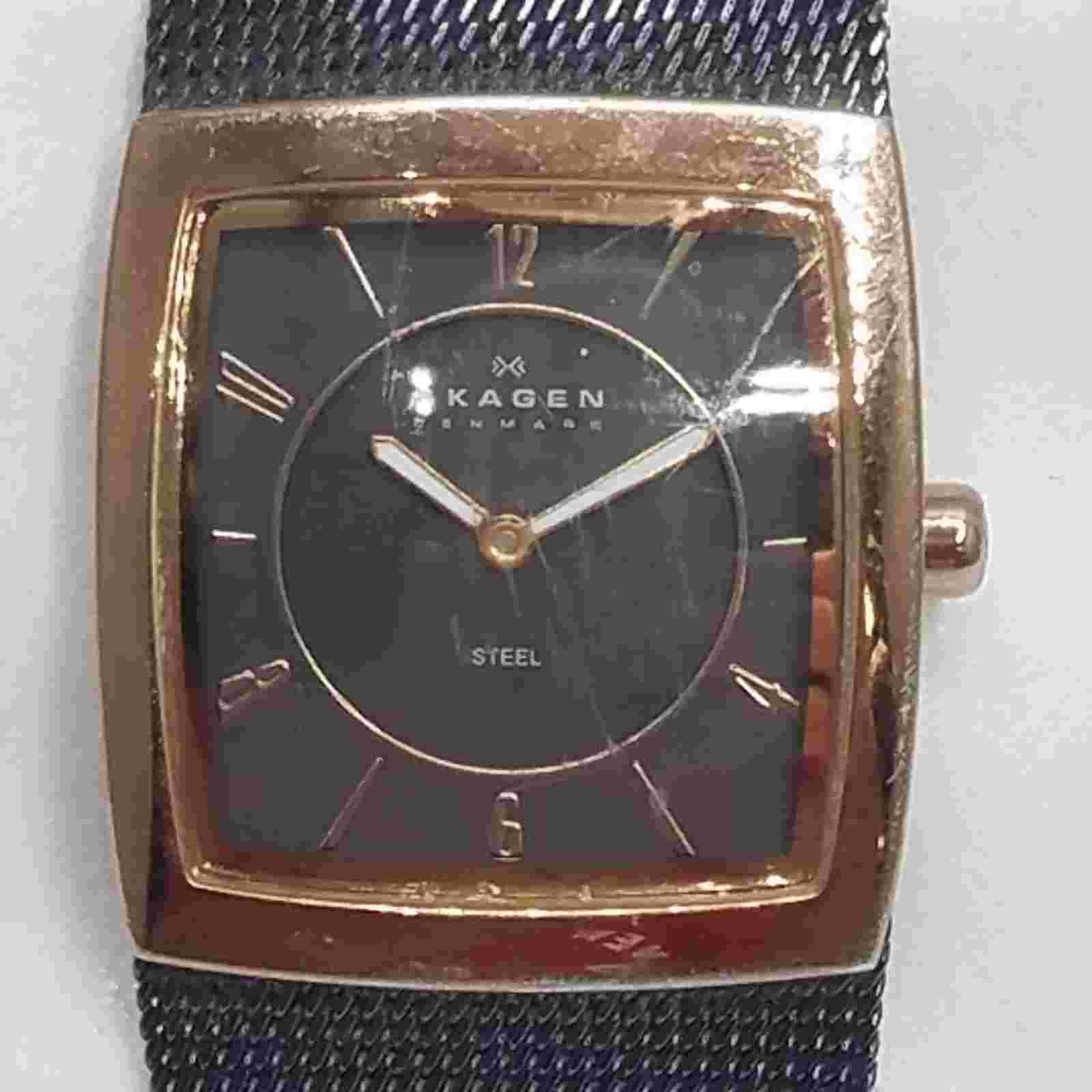 Women's Skagen Denmark 24mm WR 3ATM Dial Milanese Stainless Steel Watch