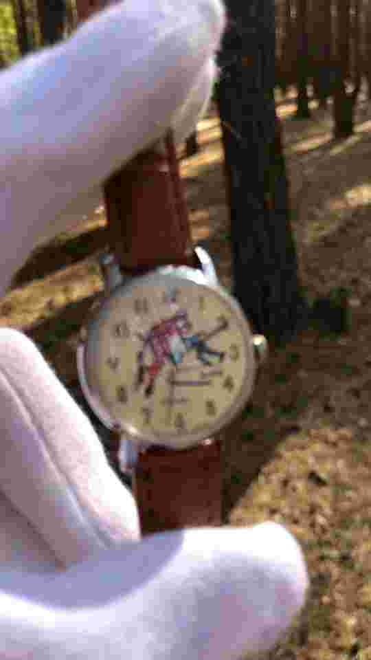 Vintage Unisex Original Dress Watch Zarja Zaria 21 Jewels Sport Skating Skaters