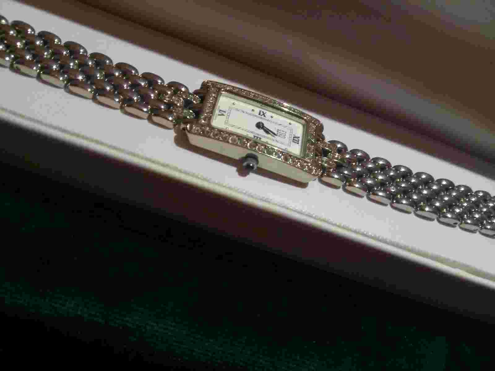 Esq movado womens watch