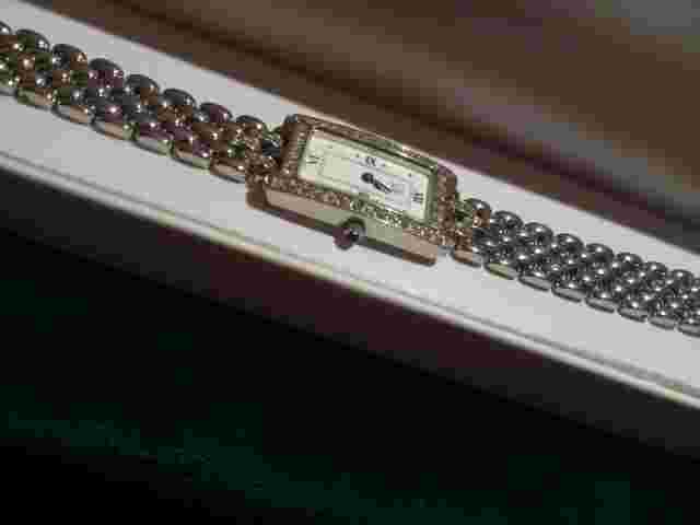 Esq movado womens watch