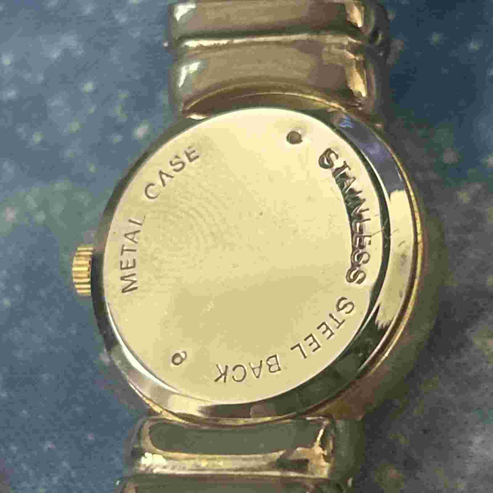 Pierre Nicol Silver Tone Women’s Bangle Watch