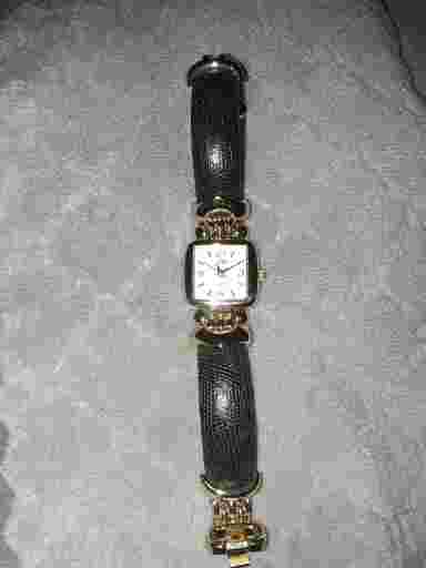 Alto Gold Quartz Watch Women Japan Movt