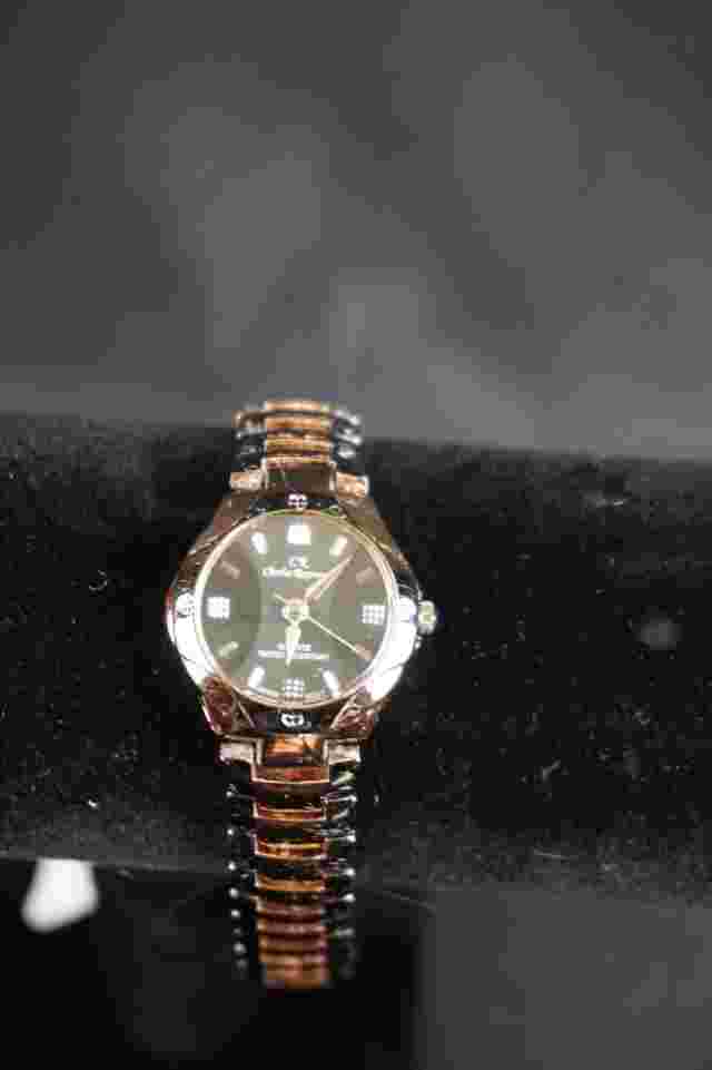 Charles Raymond watch-womens/new