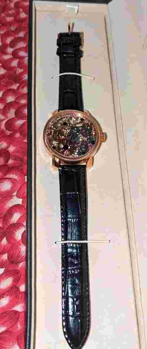 Skeleton Akribos xxiv mens watch automatic In case AK418RG
