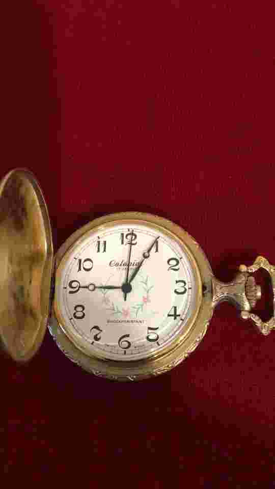Colonial  BELLE SUISSE  17Jewels HUNTER Scene CASE  POCKET WATCH Keeps Time .