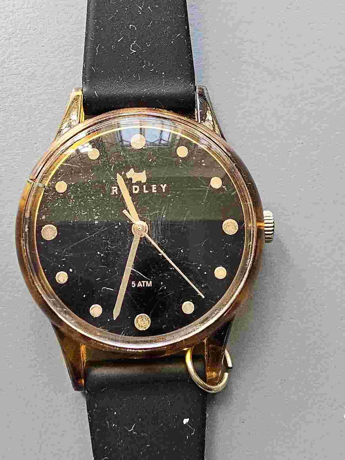 Exquisite Radley London RY26407N WR50M Quartz Ladies Rubber Watch - Working