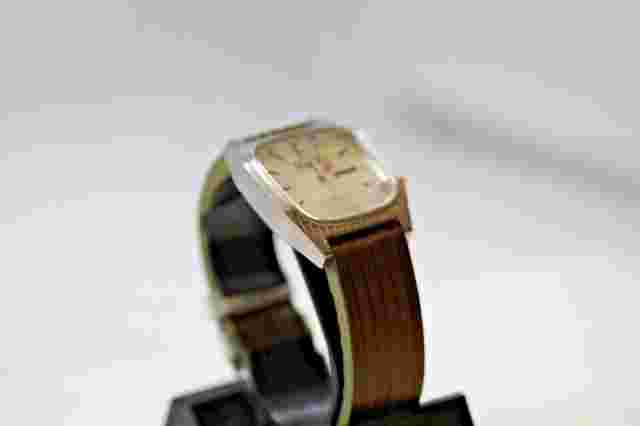 Mens Penguin Watch PGN0050