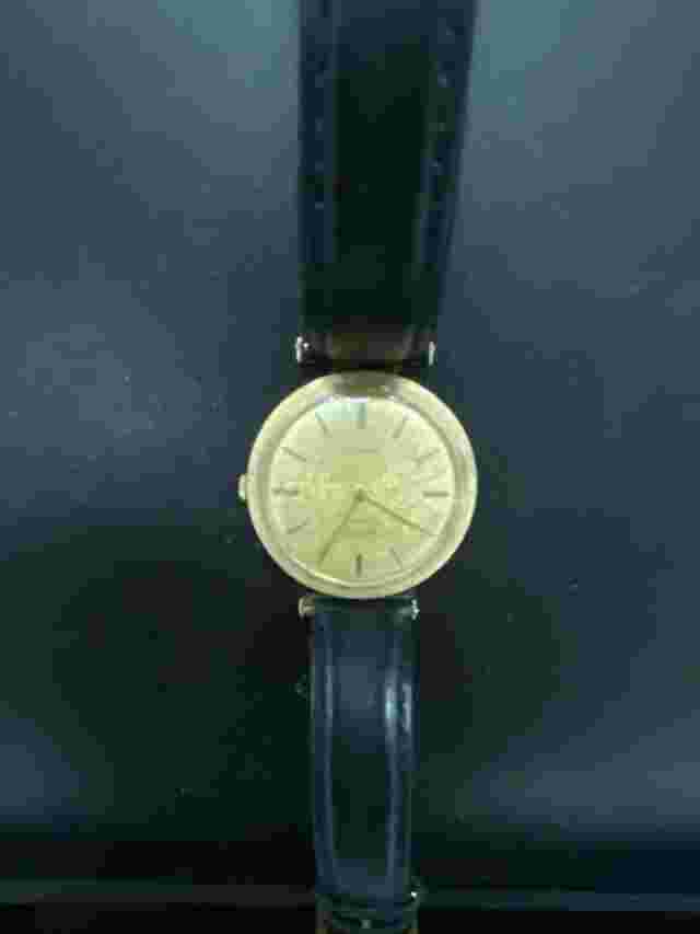 Hilton 17 Jewel 14K  Incabloc Men’s Wristwatch