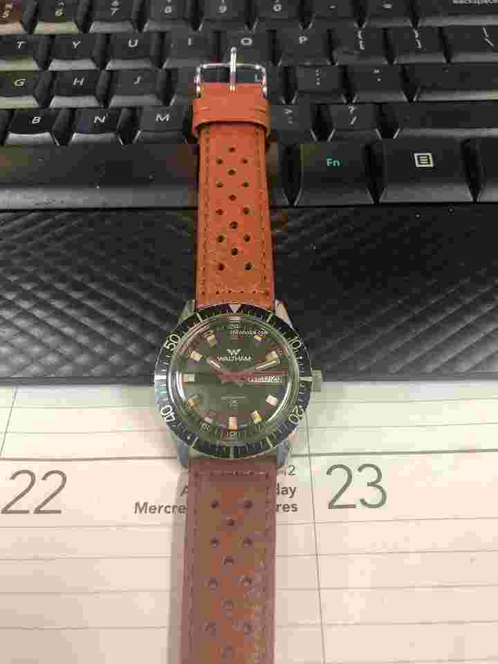 Waltham
                           
                                 Diver