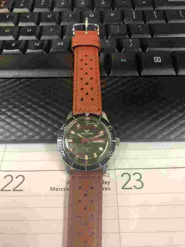 Waltham
                           
                                 Diver