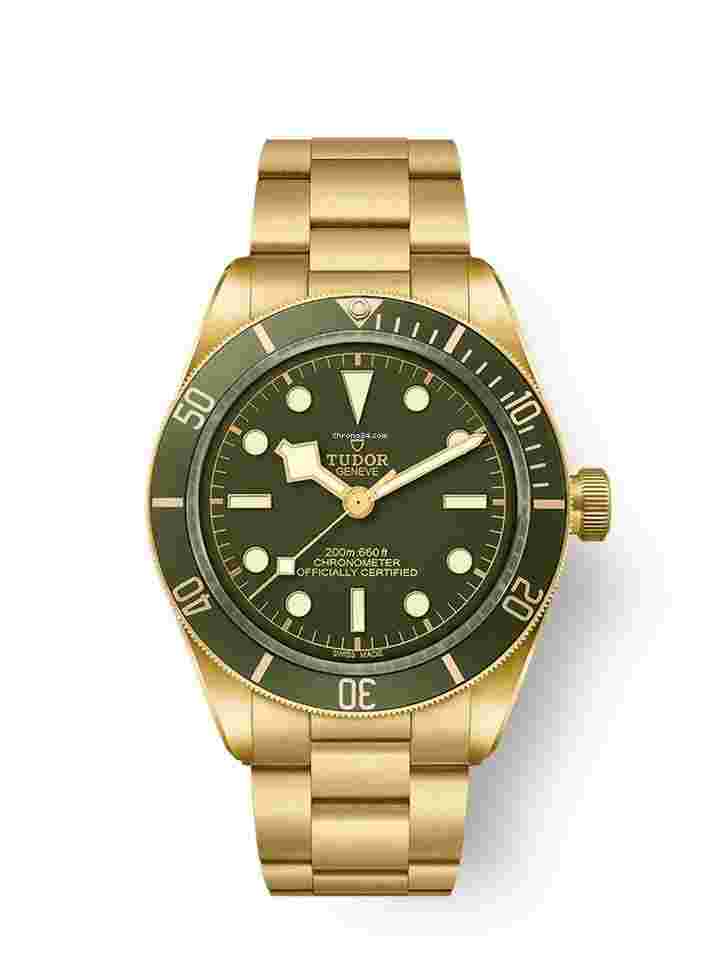 Tudor Black Bay
                           
                                 58 18K