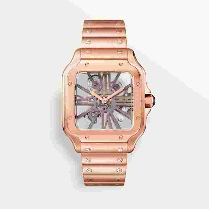 Cartier Santos
2025 UNWORN COMPLETE BEST PRICE Santos De Cartier Skeleton 39.8 mm