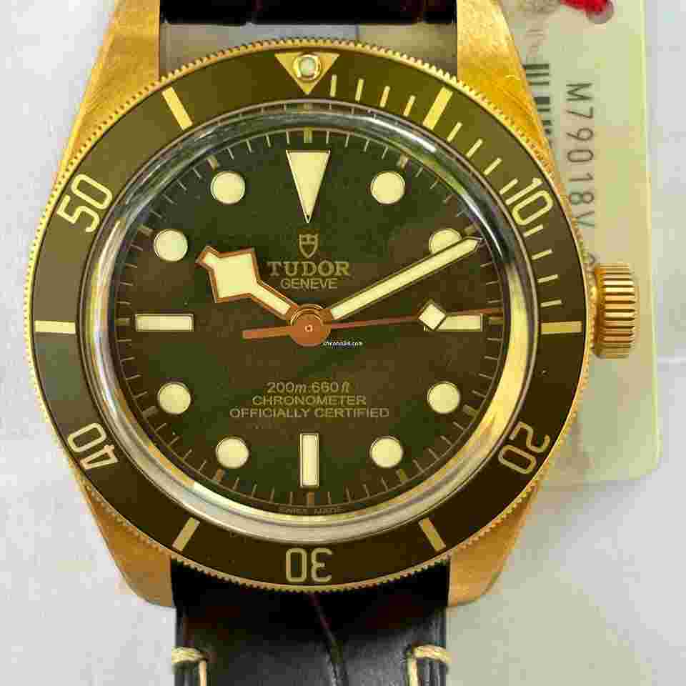Tudor Black Bay
                           
                                 M79018V-0001