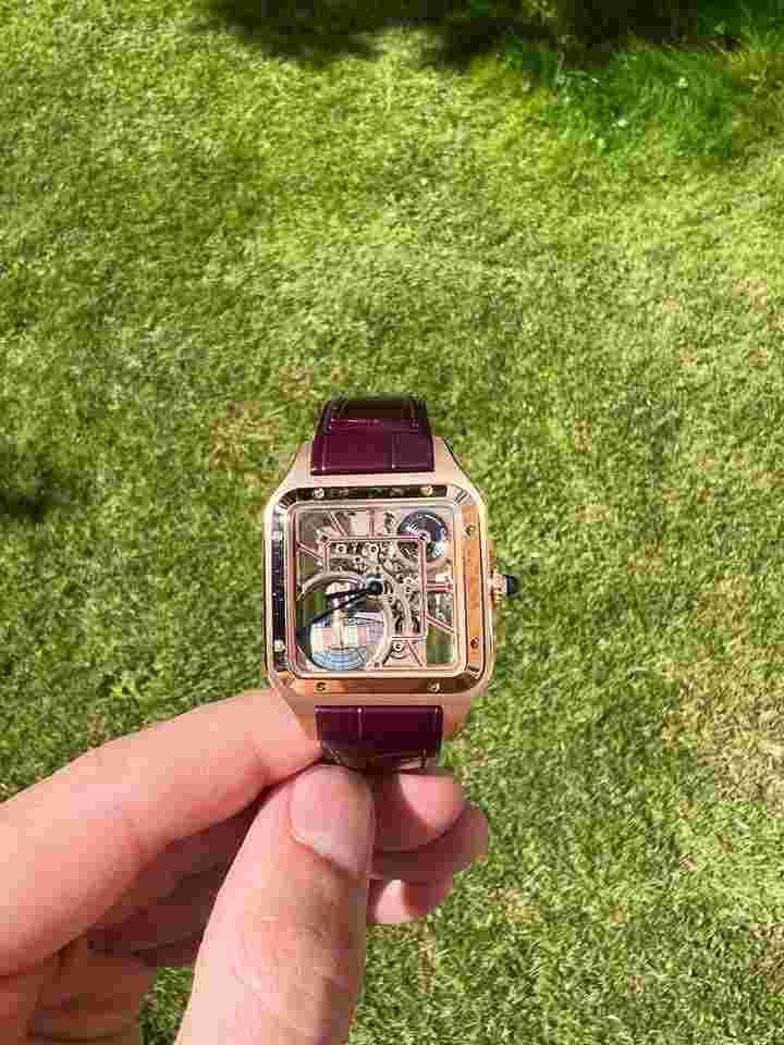 Cartier Santos Dumont
                           
                                 Skeleton Micro Rotor
