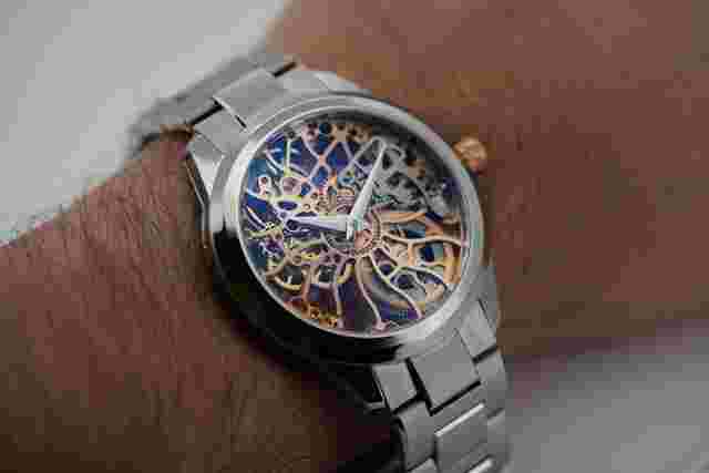 Artya
                           
                                 Golden Shams