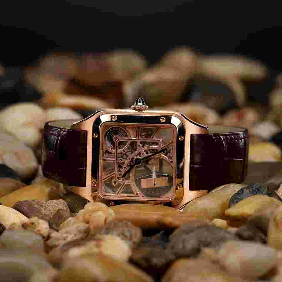Cartier Santos Dumont
                           
                                 Skeleton Micro Rotor Micro-rotor Santos-dumont