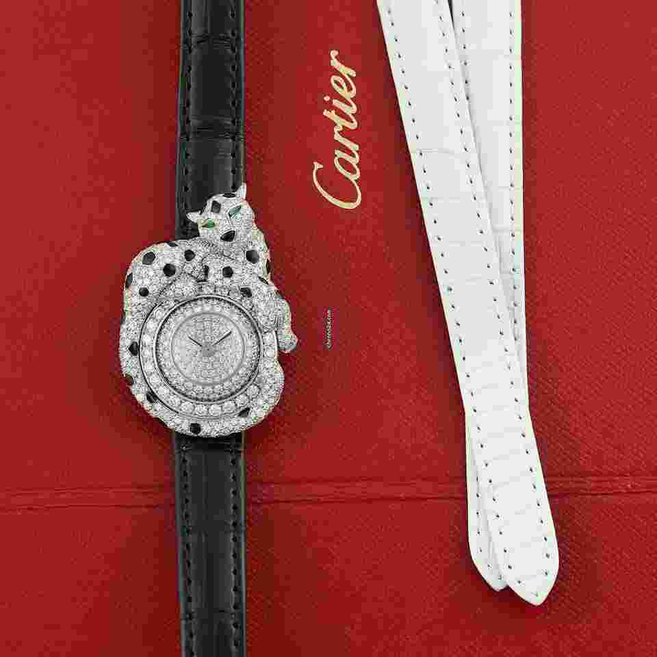Cartier Panthère
Espiegle de Cartier hpi00773