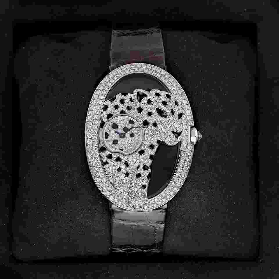 Cartier Panthère
Ajouree de Cartier hpi00656