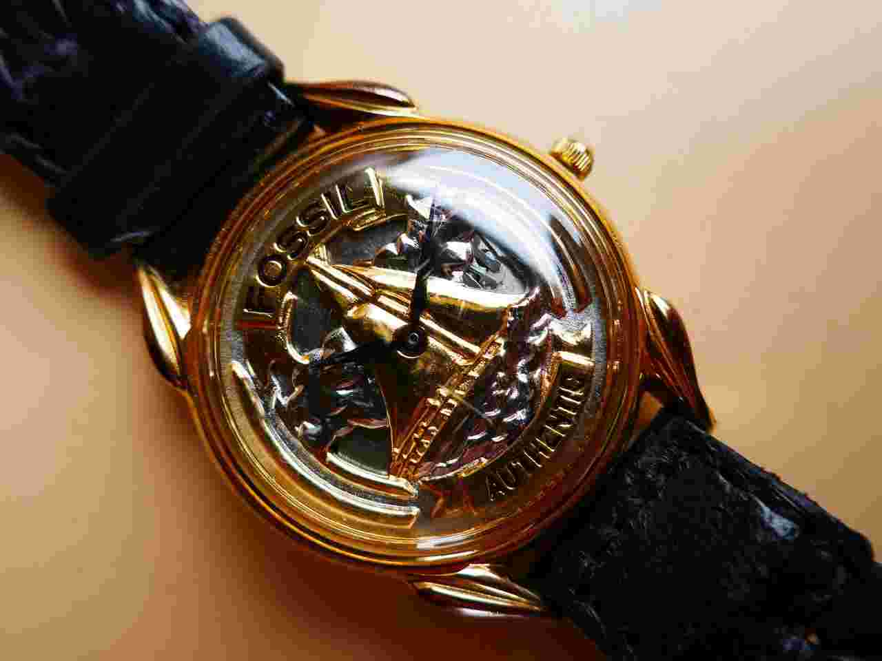 Fossil Sailer