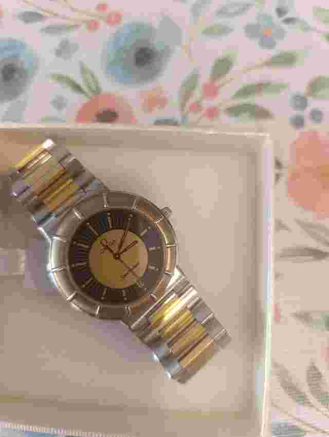 Omega Dynamic Spider ll bicolor combinando acero inoxidable con chapado en oro 