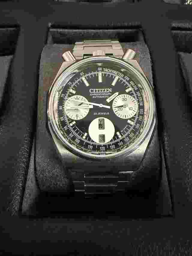 Citizen Bullhead
