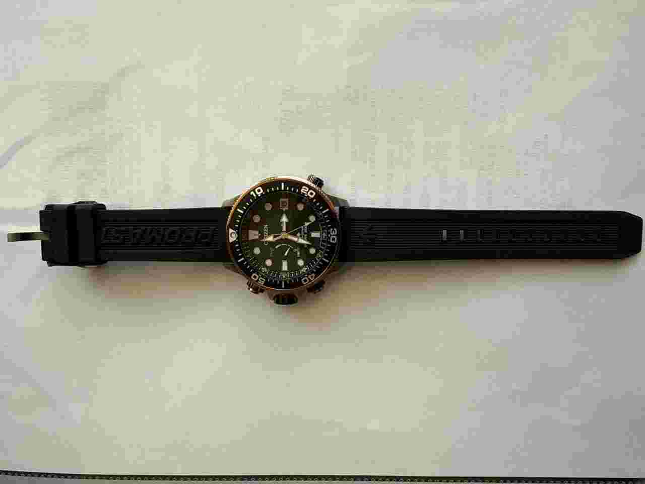 Citizen Promaster Marine Edition Citizen promaster aqualand 30th annivesary