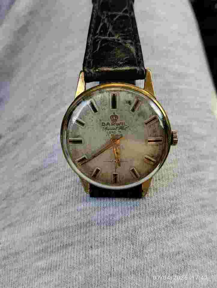 Darwil Classico Solo orologio