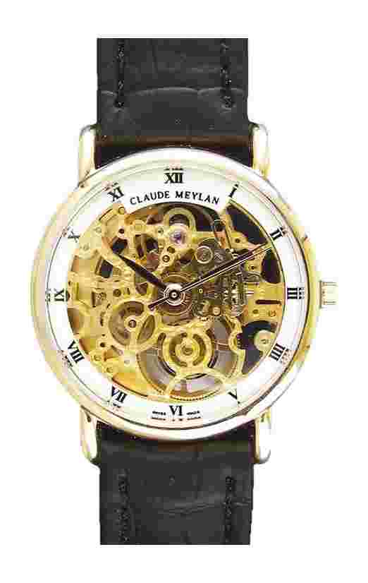 Claude Meylan
Lionne